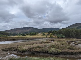 Observatorio de aves