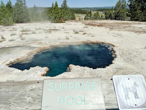 Surprise Pool