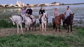 Rutas ecuestres Doñana, rutas ecuestres en el Rocío