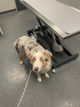 TKE Tierklinik Elversberg