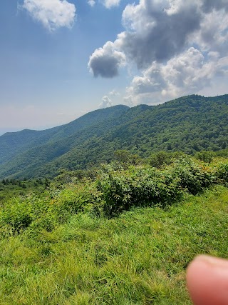 Yellow Face Overlook