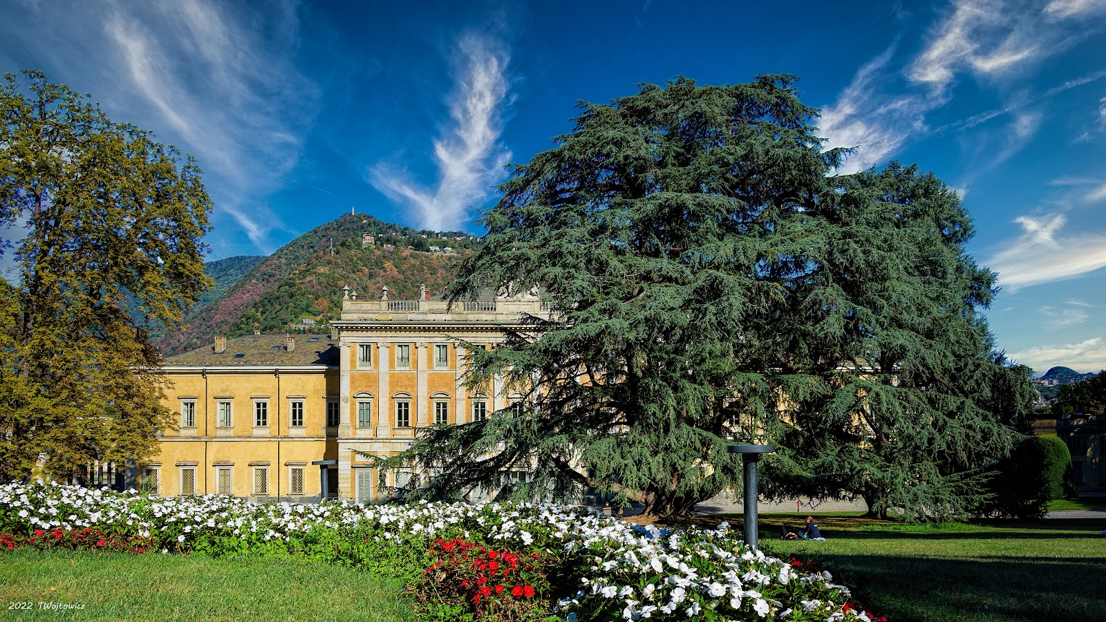 Villa Olmo