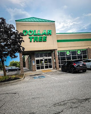 Dollar Tree