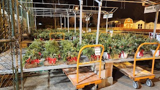 Garden Center at The Home Depot