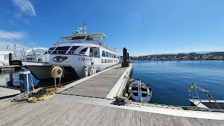 CRUCEROS ANGEL | Rutas en Barco