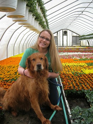 Jeff's Green Houses & Gift Shop