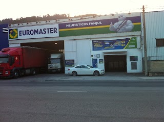 Euromaster Mieres Neumáticos Fanjul