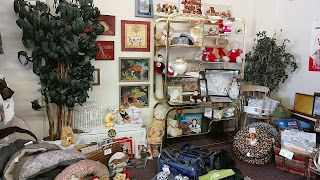 Paws-itively Charming Thrift Store & Pet Boutique