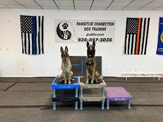 Pawsitive Connection Dog Training