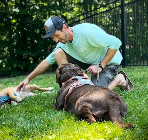 Photo of DeBlois Dogs - 190 Main Street, Warwick, MD 21912, USA