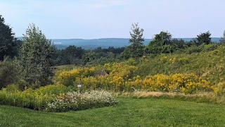 Lindabury Orchard