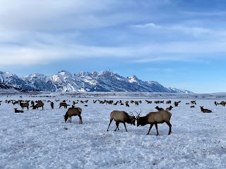 National Elk Refuge