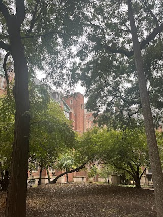 University of Illinois College of Medicine at Chicago