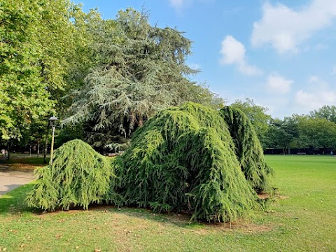 Parque de Ferrera