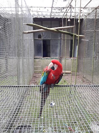 Parc Ornithologique de Bretagne