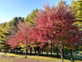 William A. Bush Park