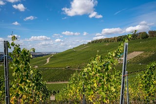 Wein Panorama Weg