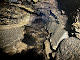 Photo of South Fork Spring Cave - Meeker, CO 81641, USA