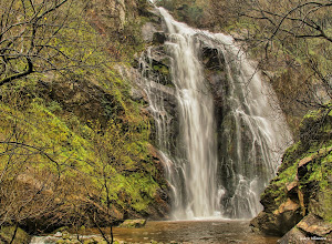 Fervenza do Toxa