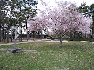 Rowan College of South Jersey Cumberland Campus