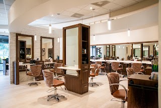 Conte Salon