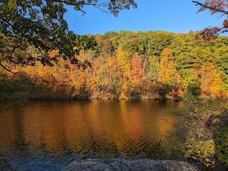 Lillinnoah Woods Open Space