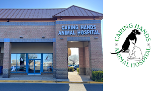 Caring Hands Animal Hospital - Merrifield