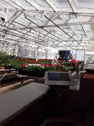 Joe's Greenhouse