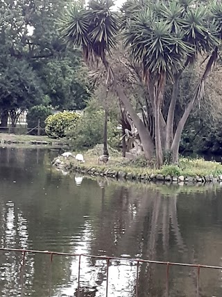 Laguna pequeña del parque