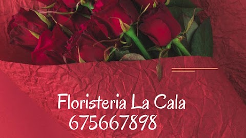 Foto de Floristería La Cala - Calle Pendón de Baeza, 18, León, España