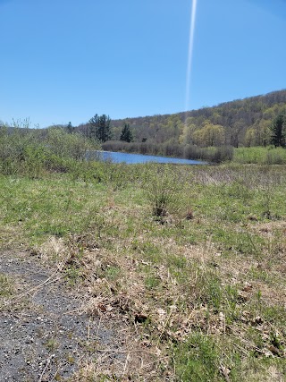 John A Minetto State Park