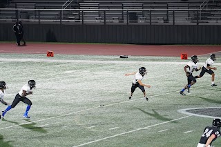 Pearland ISD Stadium