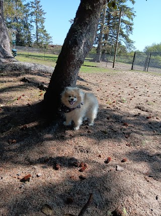 Warrenton Dog Park