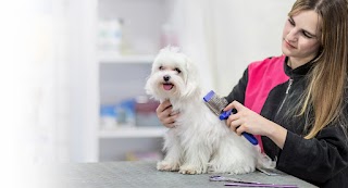 Peluquería Canina y Tienda - Clínica Bahía