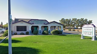 Desert Sun Animal Hospital