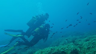 Divers Centre d'Immersions en Platja d'Aro