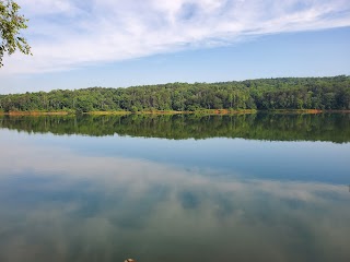 W. Kerr Scott Dam and Reservoir Visitor Assistance Center