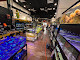 Photo of Easy Aquariums - Portsmouth - 599 Lafayette Road, Portsmouth, NH 03801, USA