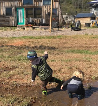 Pisgah Collective - Outdoor Inspired Early Childhood Education