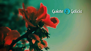 Guíate Galicia