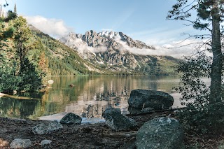 Wildlife Expeditions of Teton Science Schools