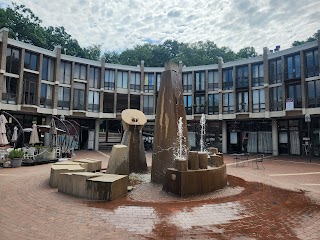 Reston Community Center Lake Anne