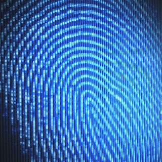 Accurate Biometrics, Inc.