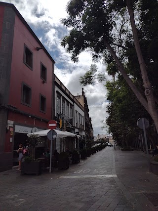 CAFETERIA LAS FLORES