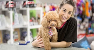 Peluquería Canina y Tienda - Clínica Bahía