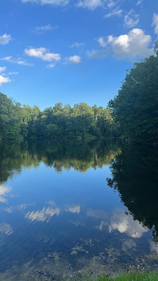 The Retreat at Hickory Hills