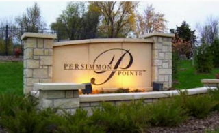 Persimmon Pointe Community Pool