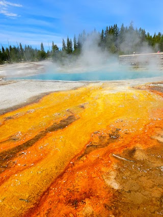 Painted Pool