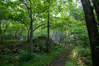 Robinson Rock House Ruins