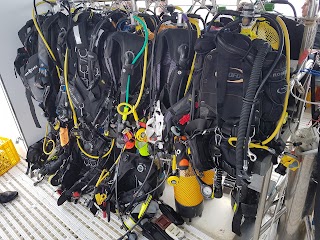 M. Rota Diving - Centro de Buceo PADI 5 Estrellas